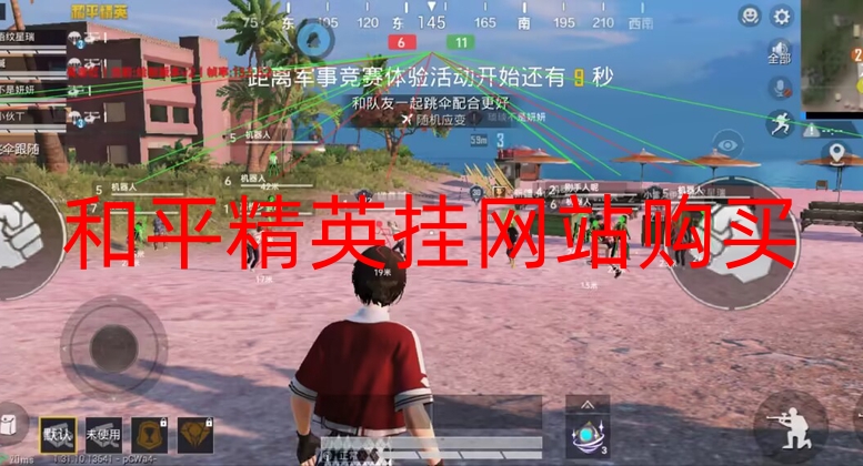 和平精英挂网站购买-和平直装【ACE至尊